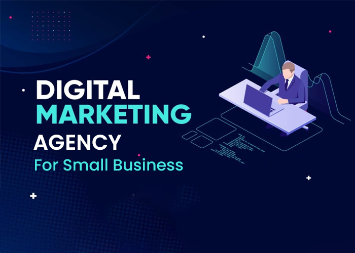 Digital Marketing Agency For Small Business