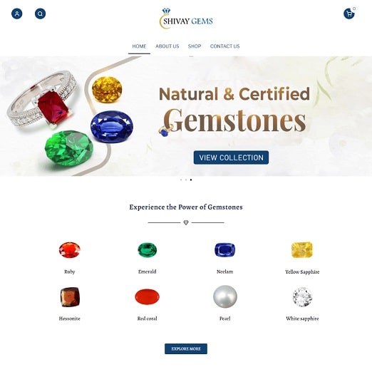 Shivay Gems Portfolio